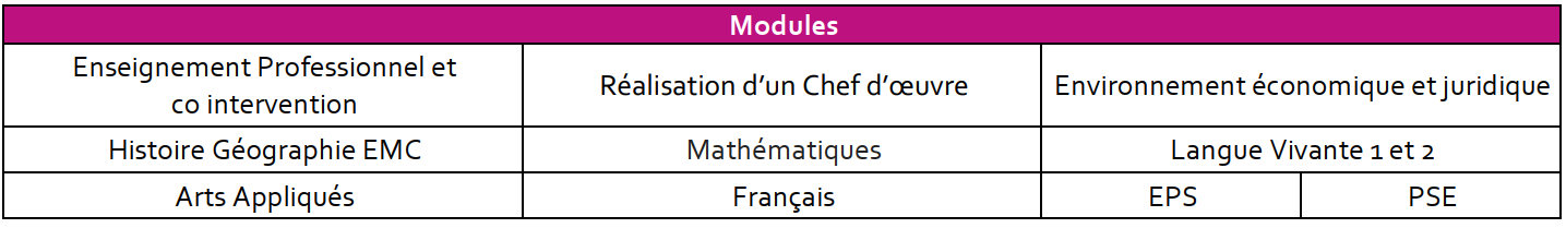 module FICHE BAC PRO MCV A ET B 2024